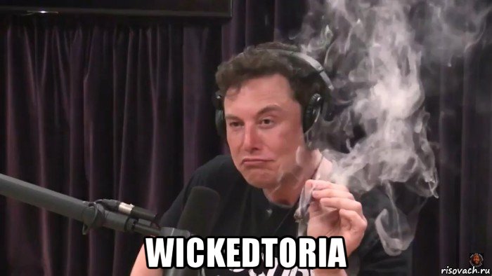  wickedtoria, Мем Илон Маск