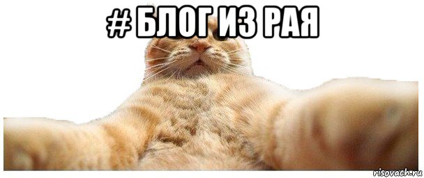 # блог из рая 