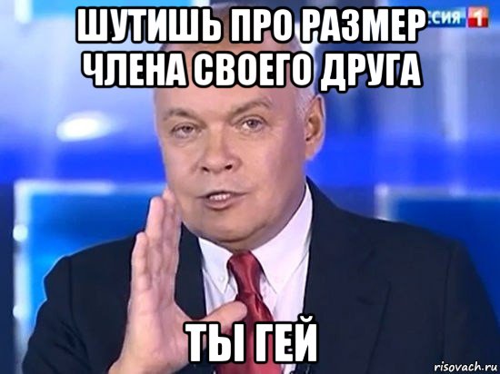 шутишь про размер члена своего друга ты гей, Мем Киселёв 2014