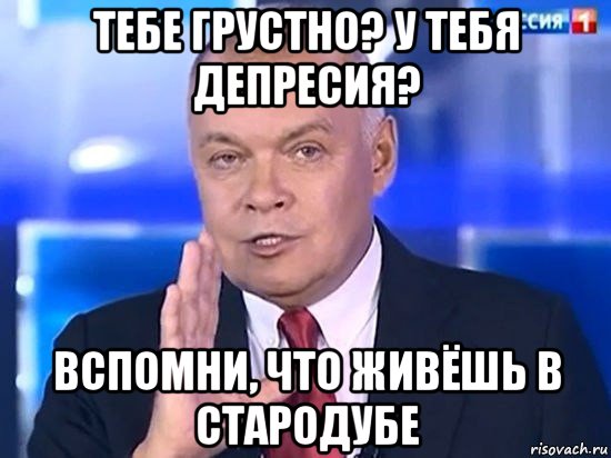 тебе грустно? у тебя депресия? вспомни, что живёшь в стародубе, Мем Киселёв 2014