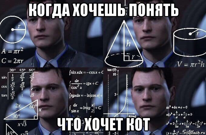 когда хочешь понять что хочет кот