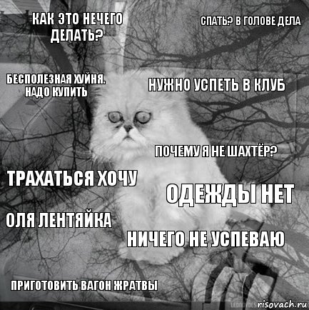 Как это нечего делать? Одежды нет Нужно успеть в клуб Приготовить вагон жратвы Трахаться хочу Спать? В голове дела Ничего не успеваю Бесполезная хуйня. Надо купить Оля лентяйка Почему я не шахтёр?, Комикс  кот безысходность