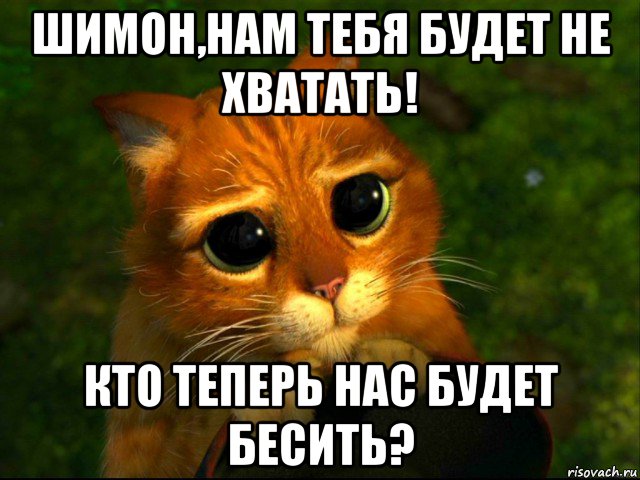 шимон,нам тебя будет не хватать! кто теперь нас будет бесить?, Мем кот из шрека