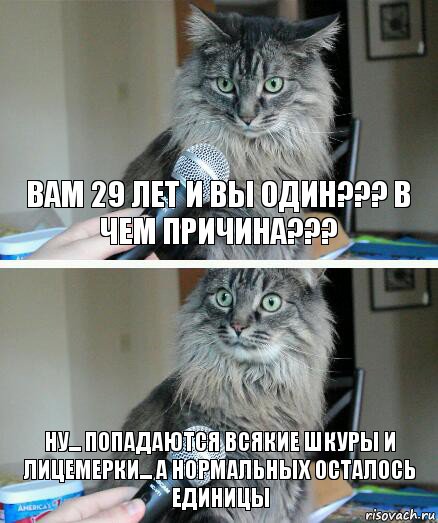 Вам 29 лет и вы один??? В чем причина??? Ну... попадаются всякие шкуры и лицемерки... а нормальных осталось единицы, Комикс  кот с микрофоном