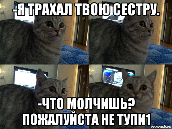 -я трахал твою сестру. -что молчишь? пожалуйста не тупи1, Мем  Кот в шоке