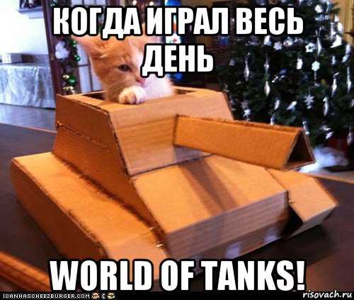 когда играл весь день world of tanks!, Мем Котэ танкист