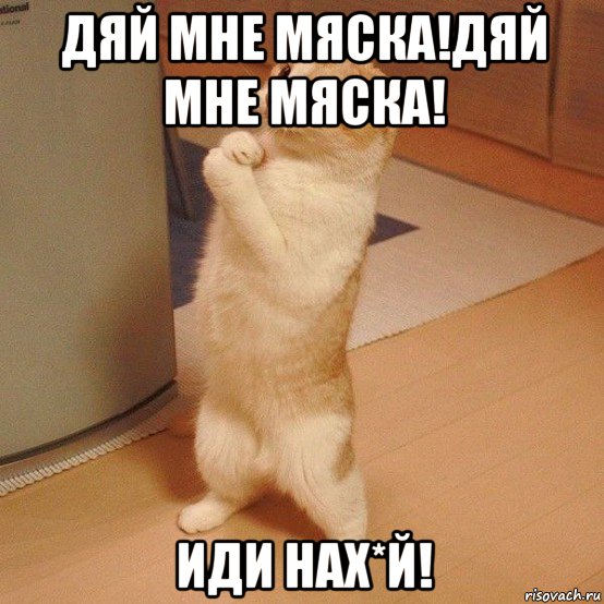 дяй мне мяска!дяй мне мяска! иди нах*й!, Мем  котэ молится