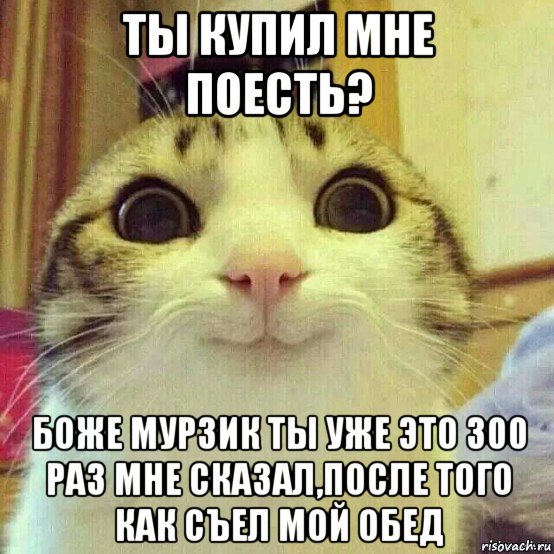 ты купил мне поесть? боже мурзик ты уже это 300 раз мне сказал,после того как съел мой обед, Мем       Котяка-улыбака