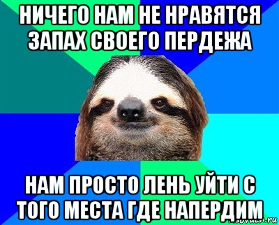 ничего нам не нравятся запах своего пердежа нам просто лень уйти с того места где напердим, Мем Ленивец