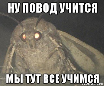 ну повод учится мы тут все учимся