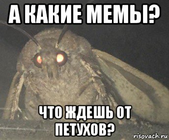 а какие мемы? что ждешь от петухов?