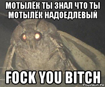 мотылёк ты знал что ты мотылёк надоедлевый fock you bitch