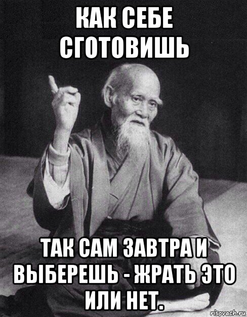 как себе сготовишь так сам завтра и выберешь - жрать это или нет., Мем Монах-мудрец (сэнсей)