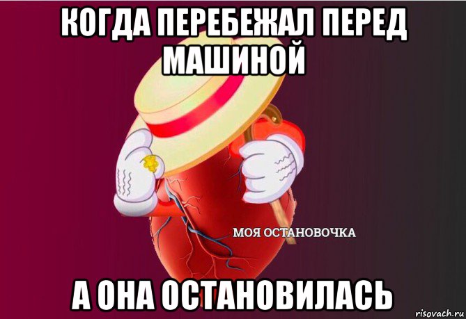 когда перебежал перед машиной а она остановилась, Мем   Моя остановочка