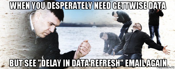 when you desperately need gettwise data but see "delay in data refresh" email again, Мем Мужик сыпет песок на пляже