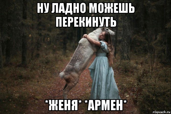 ну ладно можешь перекинуть *женя* *армен*, Мем Наивный Олень шаблон 5