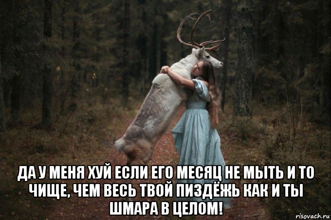  да у меня хуй если его месяц не мыть и то чище, чем весь твой пиздёжь как и ты шмара в целом!, Мем Наивный Олень шаблон 5