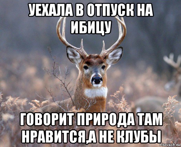 уехала в отпуск на ибицу говорит природа там нравится,а не клубы, Мем   Наивный олень