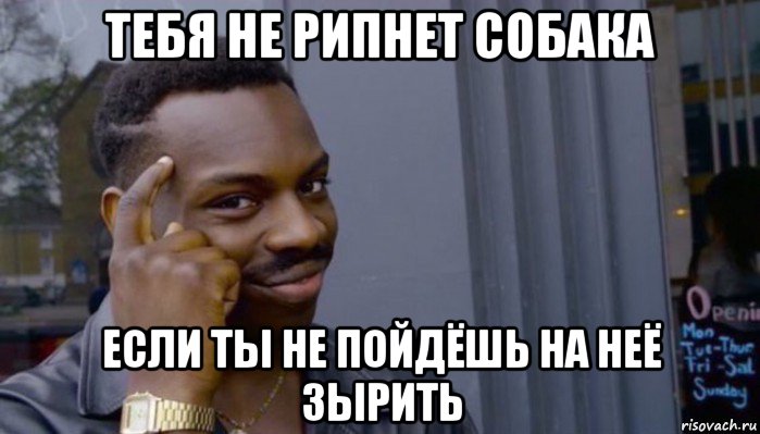 тебя не рипнет собака если ты не пойдёшь на неё зырить, Мем Не делай не будет