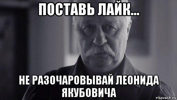 поставь лайк... не разочаровывай леонида якубовича, Мем Не огорчай Леонида Аркадьевича