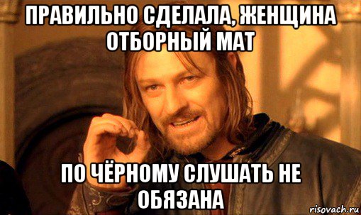 правильно сделала, женщина отборный мат по чёрному слушать не обязана, Мем Нельзя просто так взять и (Боромир мем)