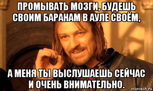 промывать мозги, будешь своим баранам в ауле своём, а меня ты выслушаешь сейчас и очень внимательно., Мем Нельзя просто так взять и (Боромир мем)