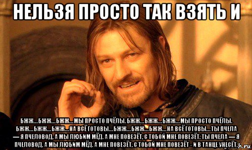 нельзя просто так взять и бжж… бжж… бжж… мы просто пчёлы. бжж… бжж… бжж… мы просто пчёлы. бжж… бжж… бжж… на всё готовы… бжж… бжж… бжж… на всё готовы… ты пчела — я пчеловод, а мы любим мёд. а мне повезёт, с тобой мне повезёт. ты пчела — я пчеловод, а мы любим мёд. а мне повезёт, с тобой мне повезёт - и в танце унесёт., Мем Нельзя просто так взять и (Боромир мем)