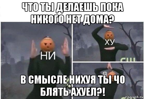 что ты делаешь пока никого нет дома? в смысле нихуя ты чо блять ахуел?!, Мем  Ни ху Я