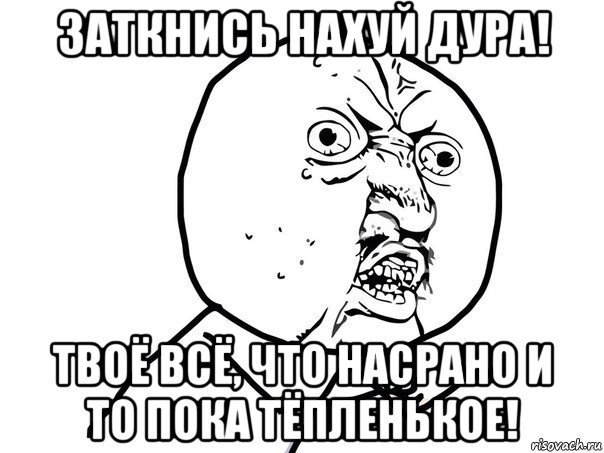 заткнись нахуй дура! твоё всё, что насрано и то пока тёпленькое!, Мем Ну почему (белый фон)