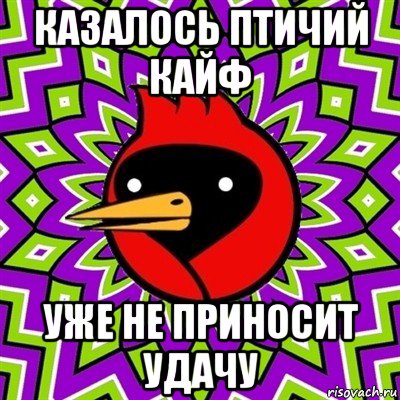 казалось птичий кайф уже не приносит удачу, Мем Омская птица