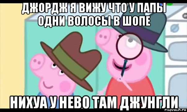 джордж я вижу что у папы одни волосы в шопе нихуа у нево там джунгли, Мем  Пеппа холмс