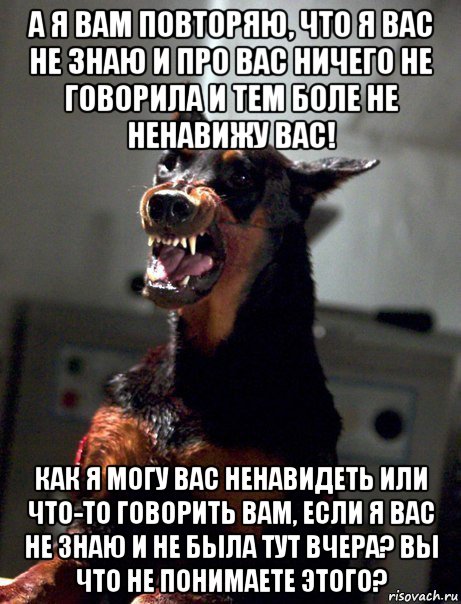 а я вам повторяю, что я вас не знаю и про вас ничего не говорила и тем боле не ненавижу вас! как я могу вас ненавидеть или что-то говорить вам, если я вас не знаю и не была тут вчера? вы что не понимаете этого?, Мем Песик