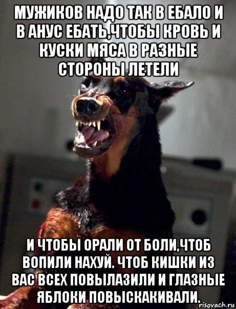 мужиков надо так в ебало и в анус ебать,чтобы кровь и куски мяса в разные стороны летели и чтобы орали от боли,чтоб вопили нахуй. чтоб кишки из вас всех повылазили и глазные яблоки повыскакивали.