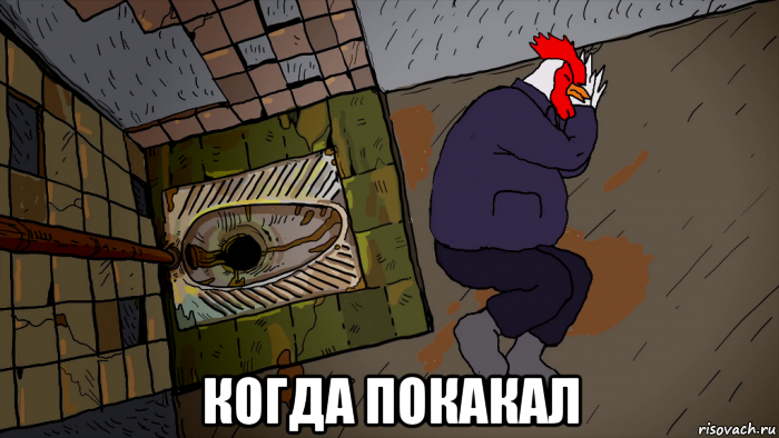  когда покакал