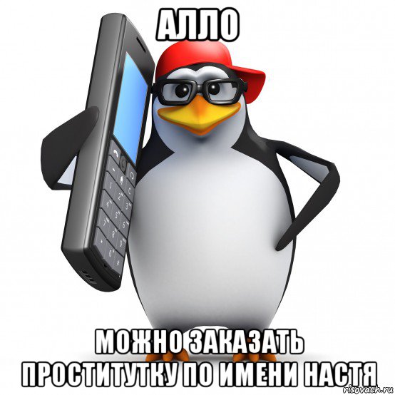 алло можно заказать проститутку по имени настя, Мем   Пингвин звонит