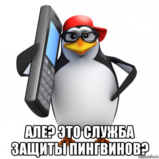  але? это служба защиты пингвинов?, Мем   Пингвин звонит