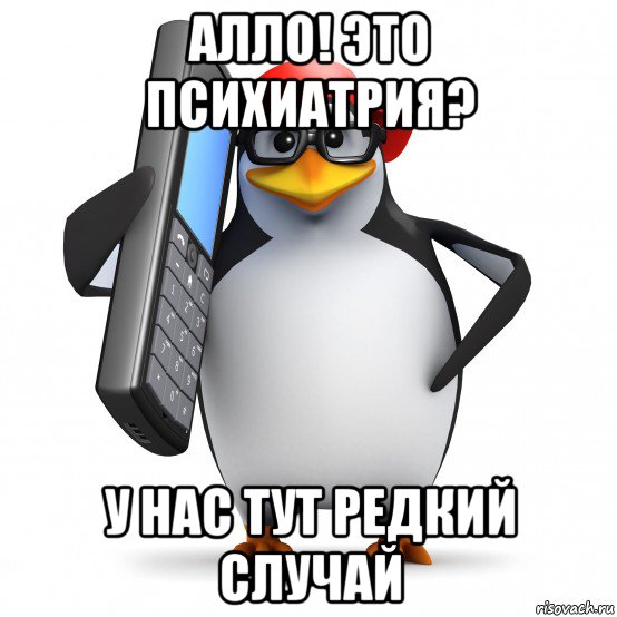 алло! это психиатрия? у нас тут редкий случай, Мем   Пингвин звонит