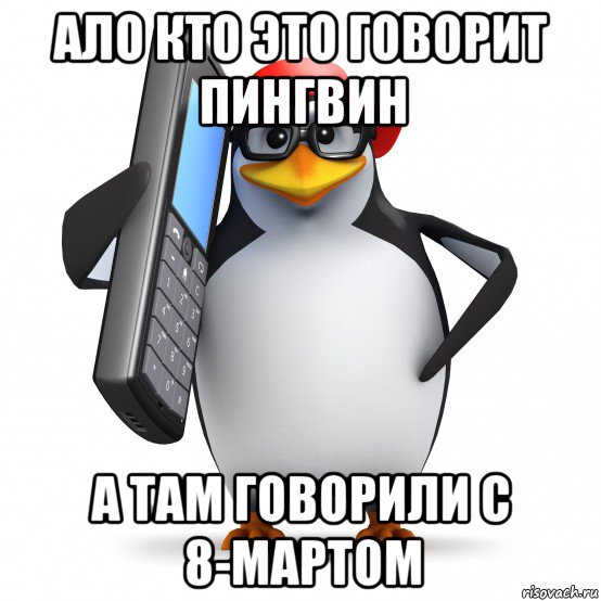 ало кто это говорит пингвин а там говорили с 8-мартом, Мем   Пингвин звонит