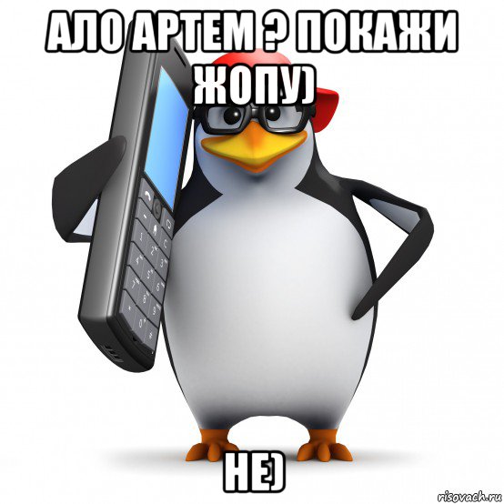 ало артем ? покажи жопу) не), Мем   Пингвин звонит