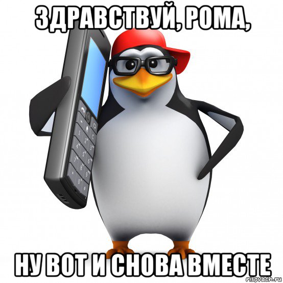 здравствуй, рома, ну вот и снова вместе, Мем   Пингвин звонит