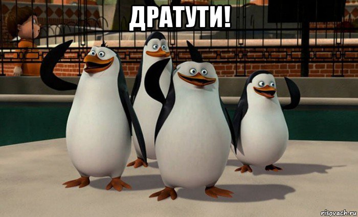 дратути! , Мем  пингвины Мадагаскара