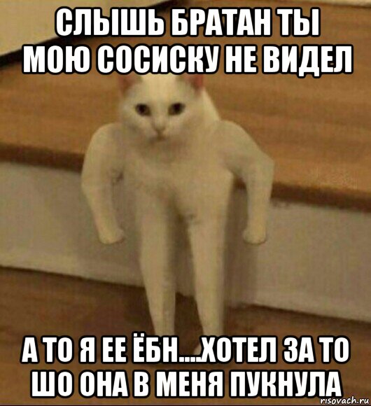 слышь братан ты мою сосиску не видел а то я ее ёбн....хотел за то шо она в меня пукнула, Мем  Полукот