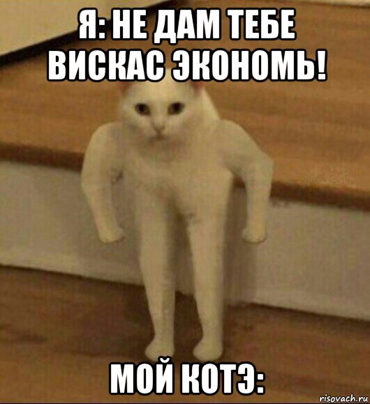 я: не дам тебе вискас экономь! мой котэ:, Мем  Полукот