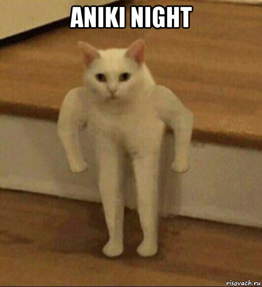 aniki night , Мем  Полукот