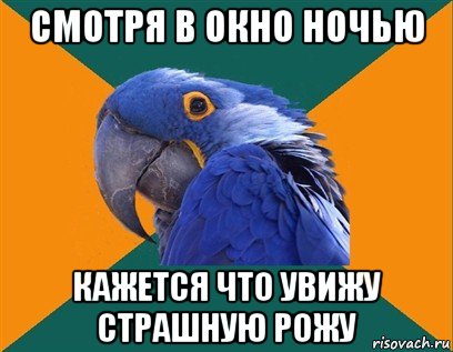 смотря в окно ночью кажется что увижу страшную рожу, Мем Попугай параноик