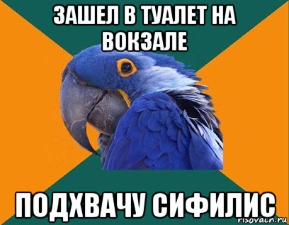 зашел в туалет на вокзале подхвачу сифилис, Мем Попугай параноик