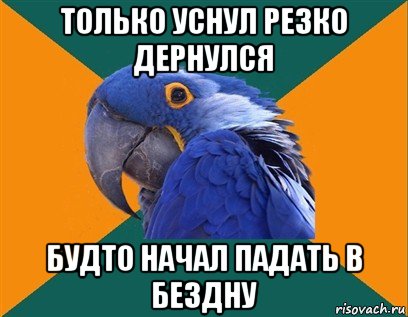 только уснул резко дернулся будто начал падать в бездну, Мем Попугай параноик