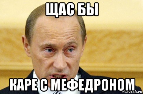 щас бы каре с мефедроном, Мем путин