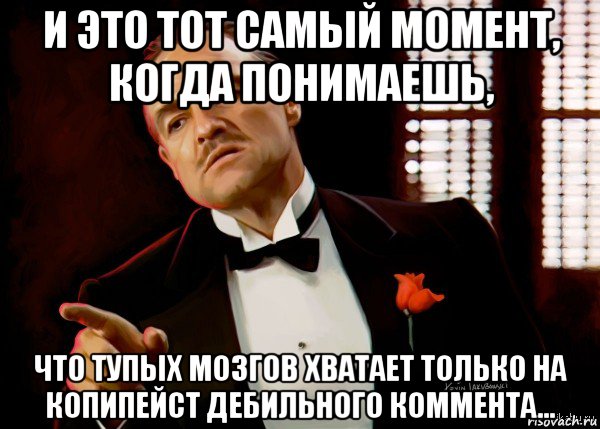 и это тот самый момент, когда понимаешь, что тупых мозгов хватает только на копипейст дебильного коммента..., Мем  Ты