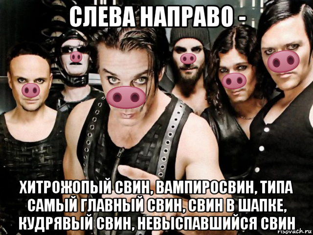 слева направо - хитрожопый свин, вампиросвин, типа самый главный свин, свин в шапке, кудрявый свин, невыспавшийся свин, Мем Рамштайн хрю